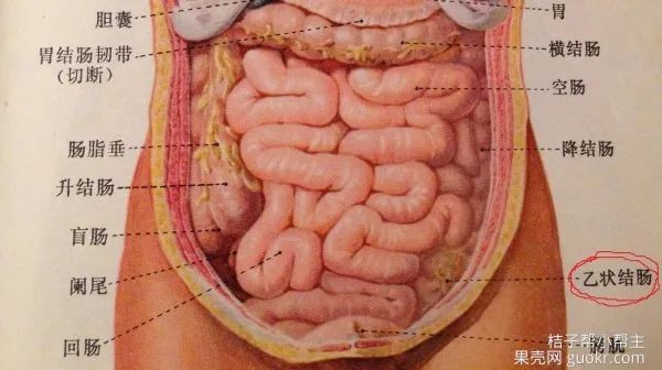 怀孕需要改变什么—(8)睡觉