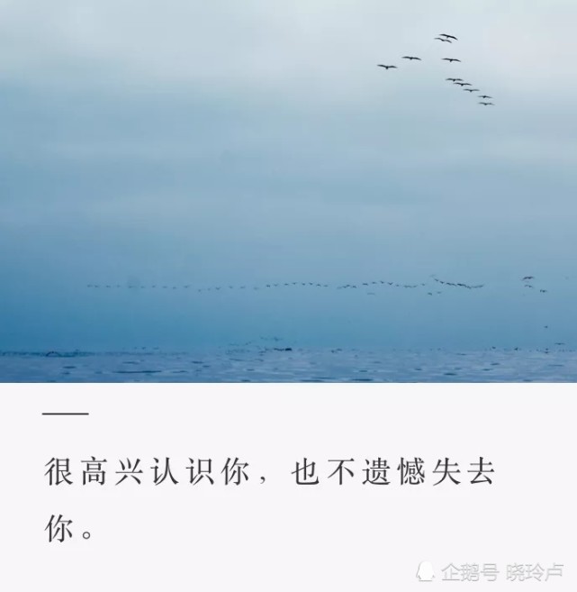 很高兴认识你,也不遗憾失去你,这就是我们全部的故事.