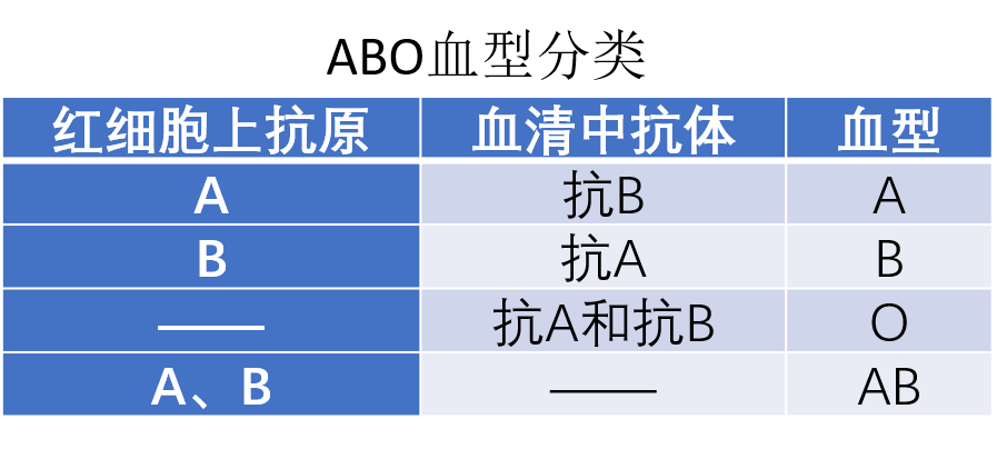 但是不容许任何差错,特别是输血前的血型鉴定,需要更加谨慎,abo定型