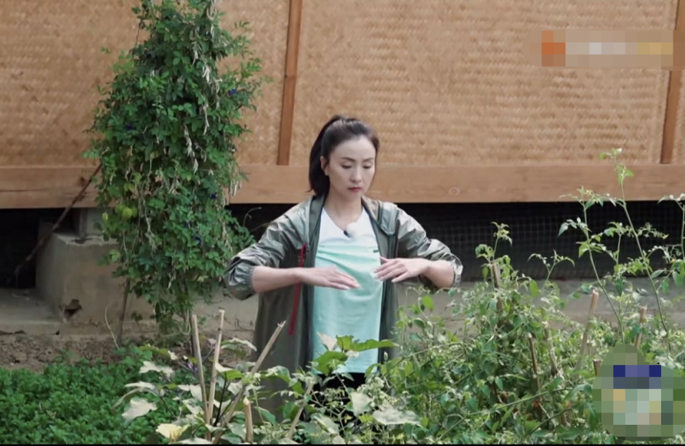 黄磊在《向往的生活》中立flag：50岁之前完成一次半马