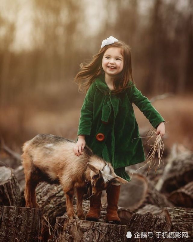 画面中小女孩在给小羊羔喂食物,小女孩高兴地笑着,哪应该是童年最美的