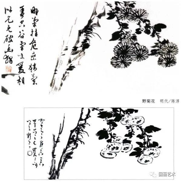 分享:菊花构图100例(四)