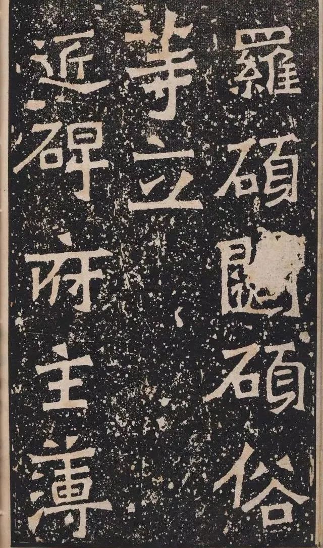 皮皮_胡
