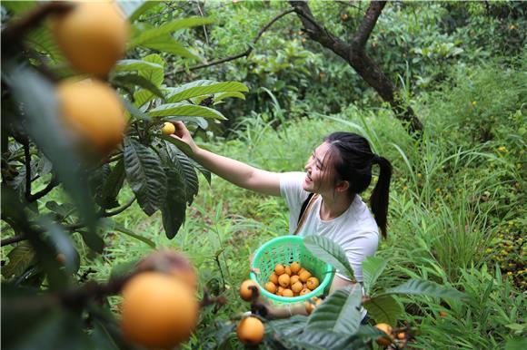 2020彭水县乡镇人口_彭水两个深度贫困乡镇的脱贫路径(2)