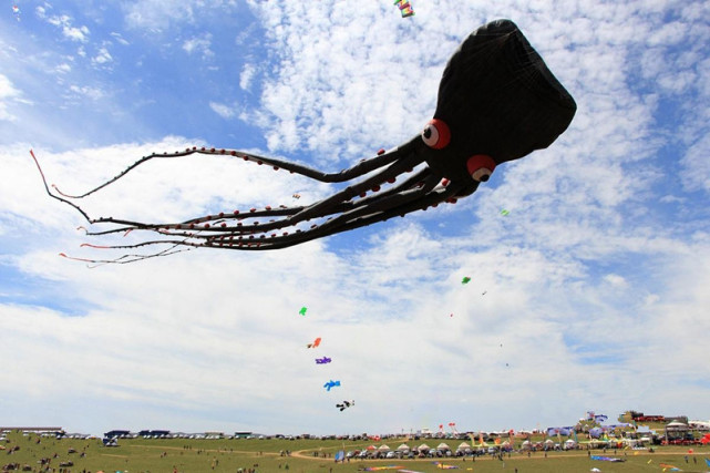 霸气十足的软体风筝 7,自由式风筝:包括跨种类,运用新技术,吸取各国