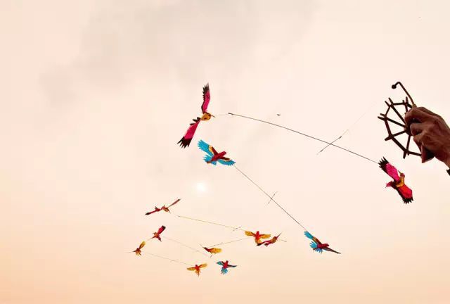 7,自由式风筝:包括跨种类,运用新技术,吸取各国风筝之长的风筝.