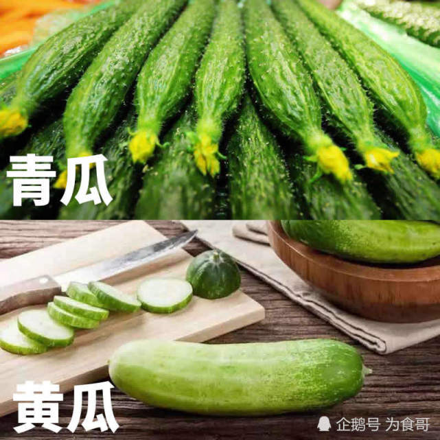 青瓜与黄瓜