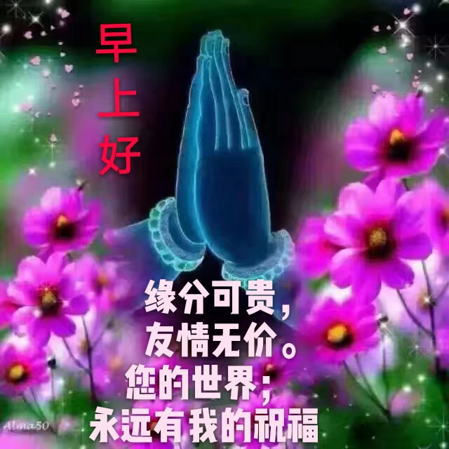 中老年表情包,你的世界,永远有我的祝福!