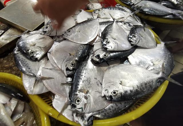 海南东方市:短暂停留记忆深刻,如果不自驾游,真不会来到这地方