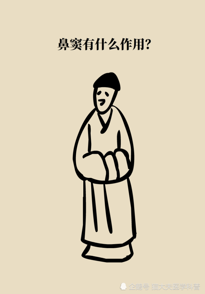 为什么鼻窦发炎，疼的却是头、眼和牙？