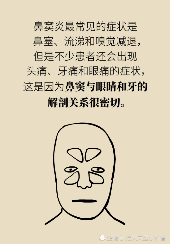 为什么鼻窦发炎，疼的却是头、眼和牙？