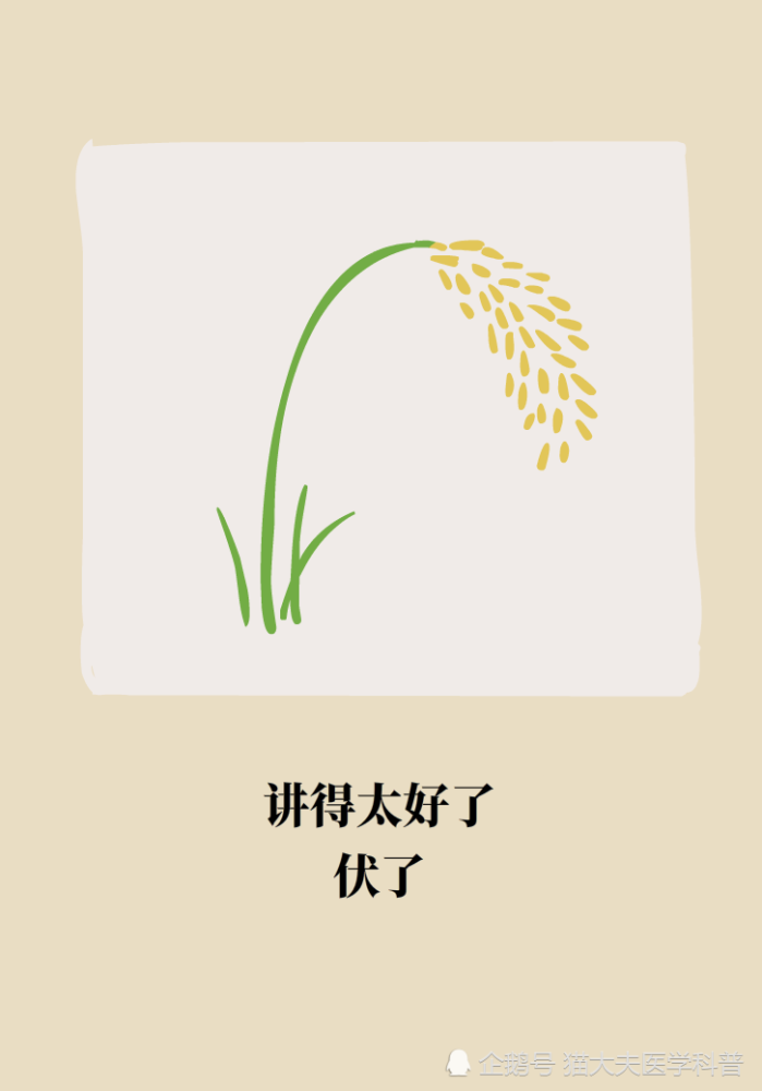 为什么鼻窦发炎，疼的却是头、眼和牙？