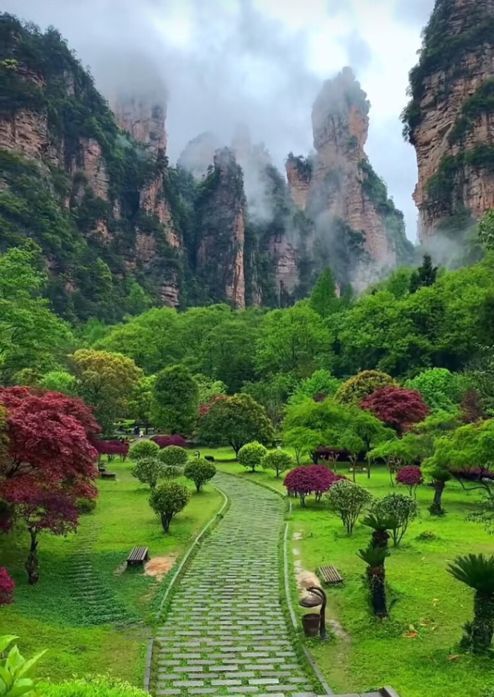 张家界旅游,风景宜人,令人神往!