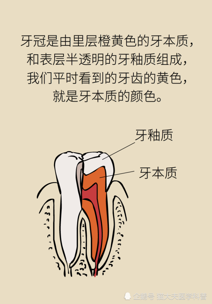 牙太黄，这些“美白”方法管用吗？