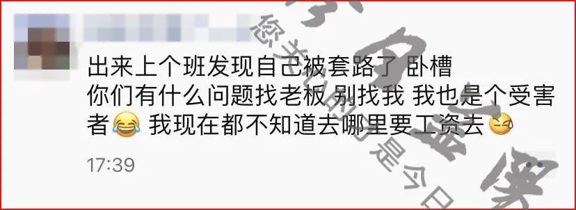 曾老板发现自己辛苦种的砂糖橘