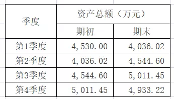 汇算清缴,资产总额,从业人数出现重要风险提示!