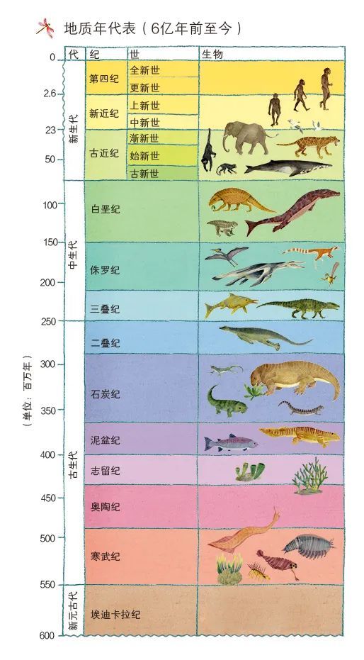 首先,让我们知道一个概念,关于古生物学的地质年代划分,接下来见到