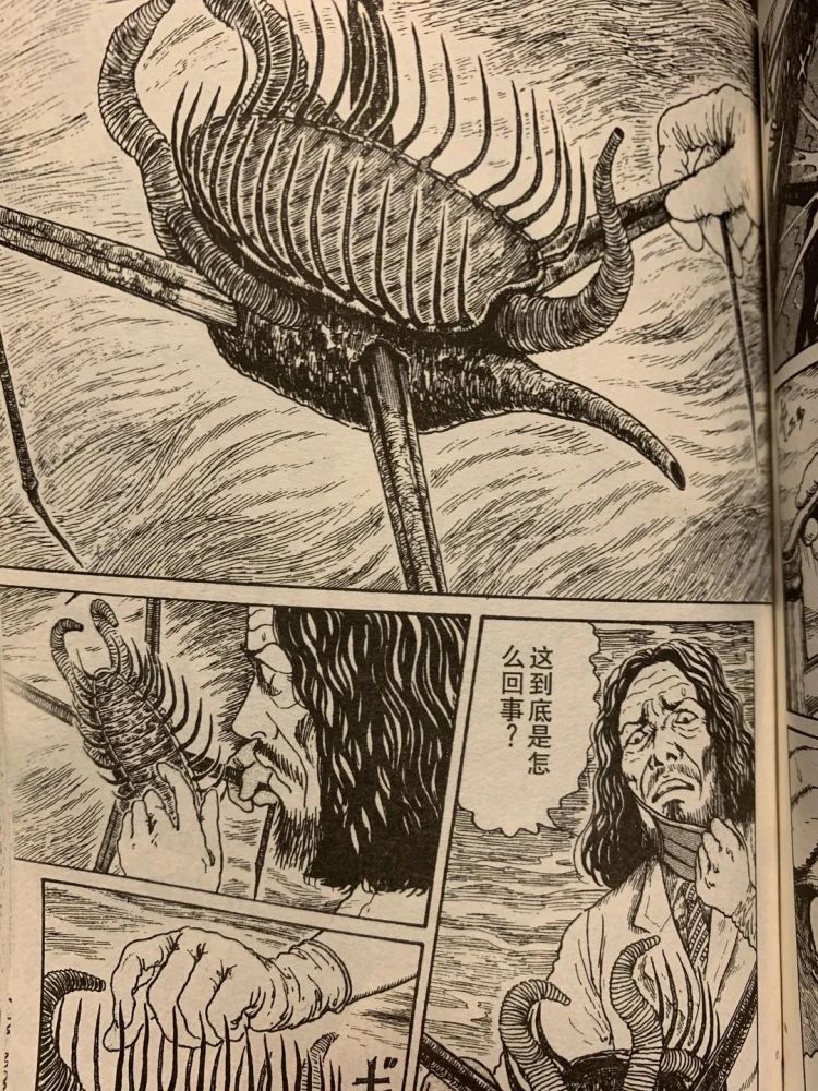 41年了,《异形》依旧是最伟大的太空怪兽