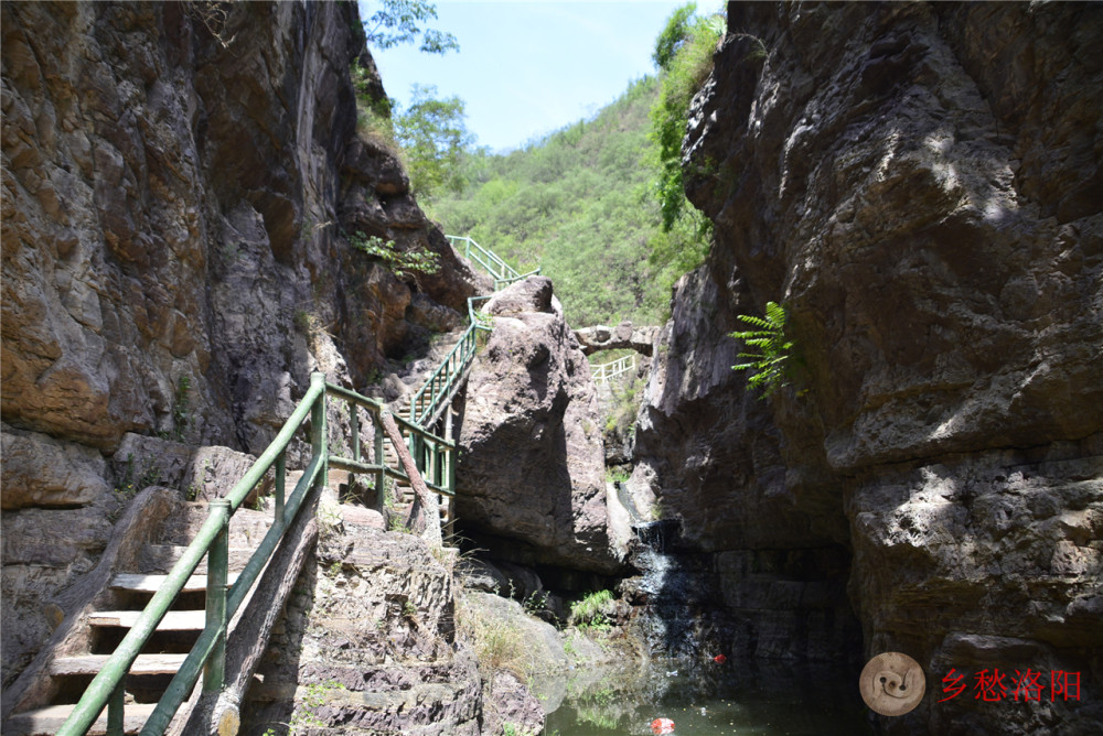 伊川鹤鸣峡门票30元,我们俩人花46块钱,游览了一个野生的3a景区