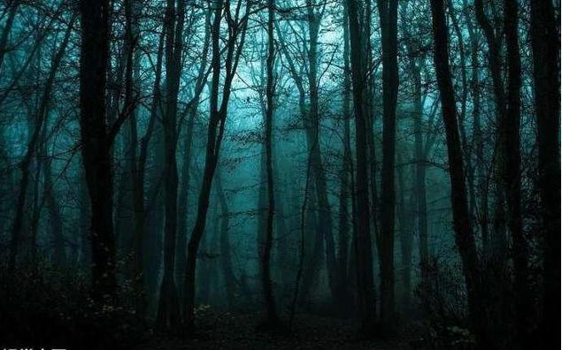 心理学4片森林哪片最恐怖测试你内心深处最害怕什么