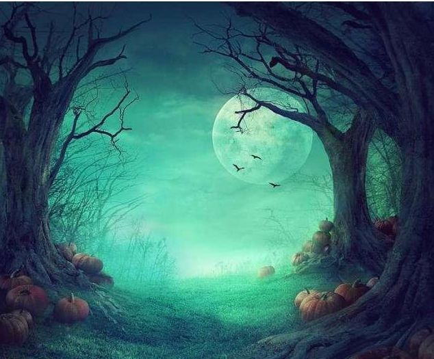 心理学:4片森林,哪片最恐怖?测试你内心深处最害怕什么?