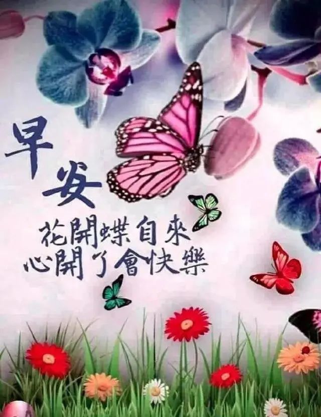 夏天问候大家早上好表情鲜花图片,清晨早安问候语句子