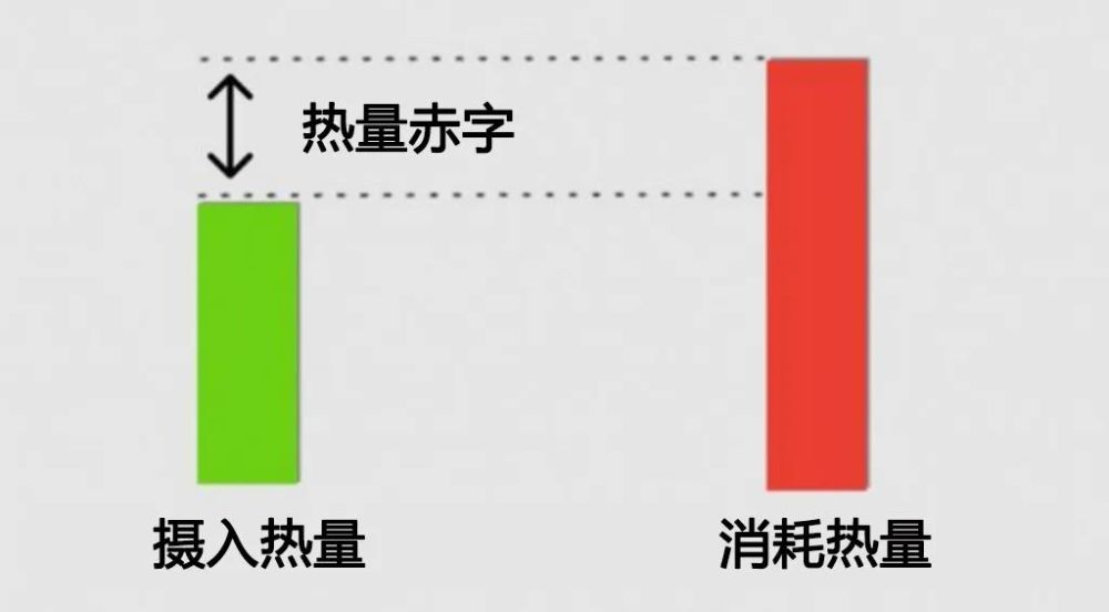 如何减掉腹部顽固脂肪，让腹肌露出来