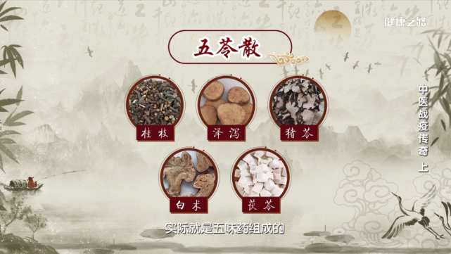 小柴胡汤可 协助麻杏石甘汤退烧,同时治疗半表半里的 少阳症.