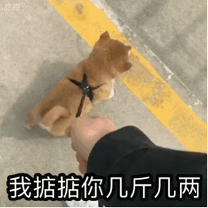 7.31【表情包】你是真滴行