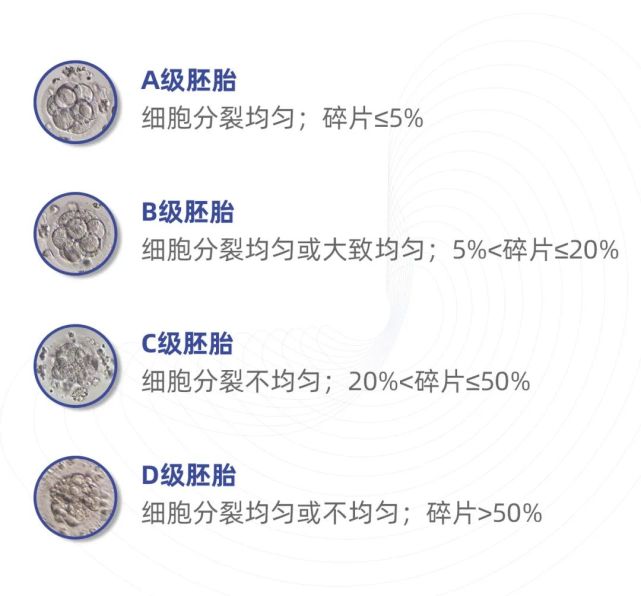 移植c级胚胎会让宝宝输在起跑线吗?专家解读来了!