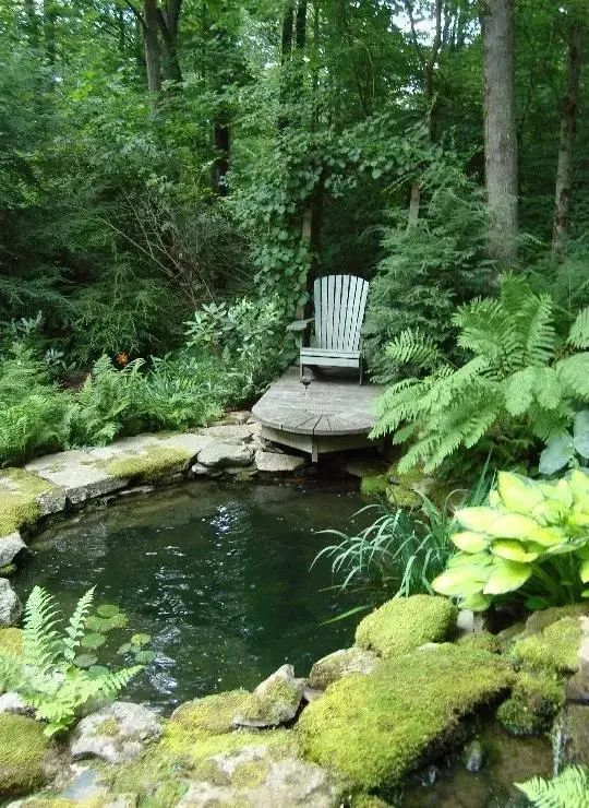 夏日的庭院小池塘,必须要有
