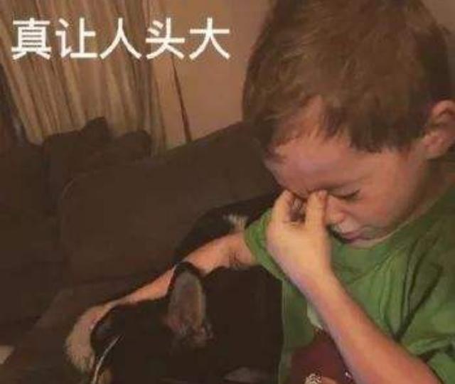 谁说的,动植物的细胞图我就总是记不下来,而且实验基本很少,很难去