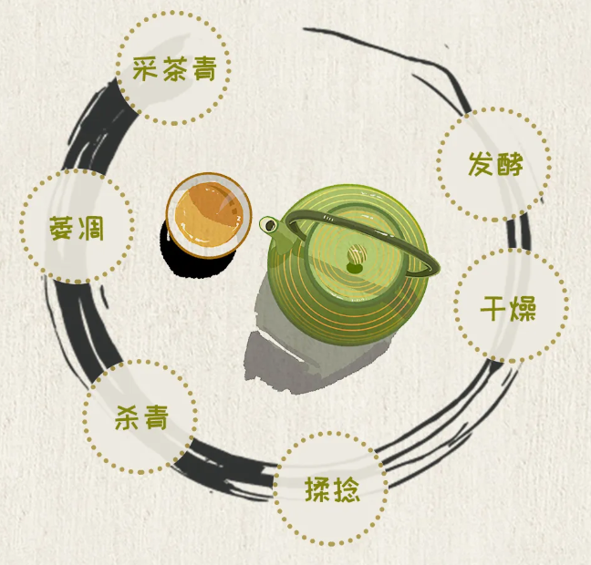 按照发酵程度茶叶可分为 六大茶类