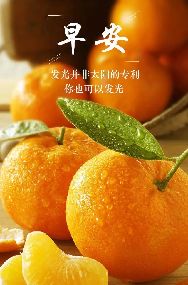 8月19日早安心语正能量走心哲理语录流行的早上好图片带字正能量大全