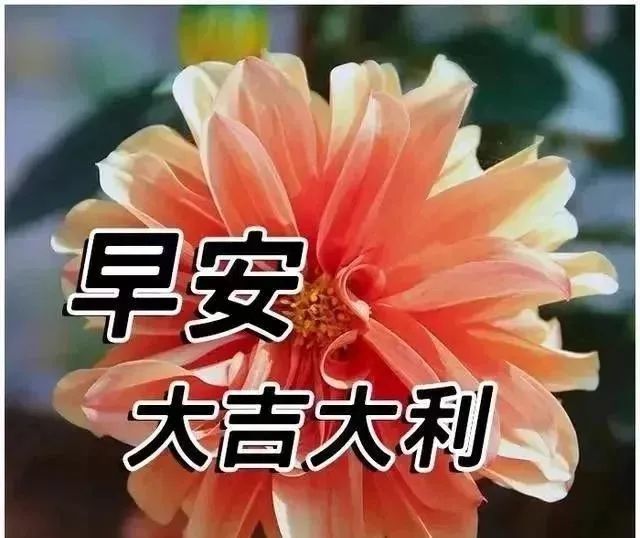 清晨最美丽早安祝福语动态图片,早上好祝福问候语