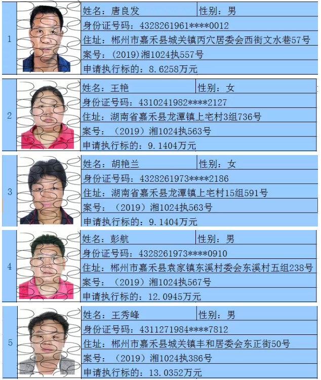 监督举报电话:0735-6733201 临武法院