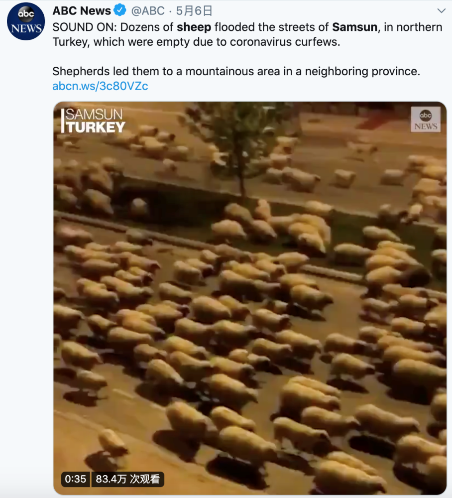 较真|蒙古国支援的3万只羊抵达北京？视频实际发生在西班牙