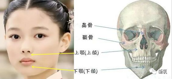 好好的奶茶妹妹2.0，为什么非要乱do鼻子整瞎了啊！