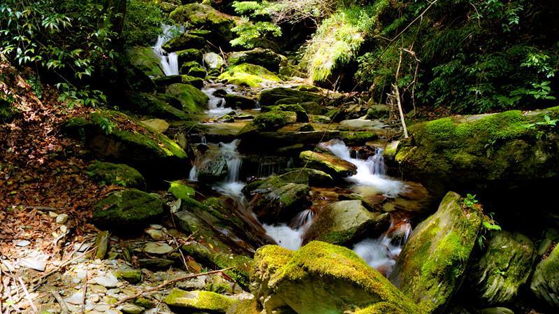 湖北八卦山省级自然保护区;一路山水一路景,山美,景美,水更美