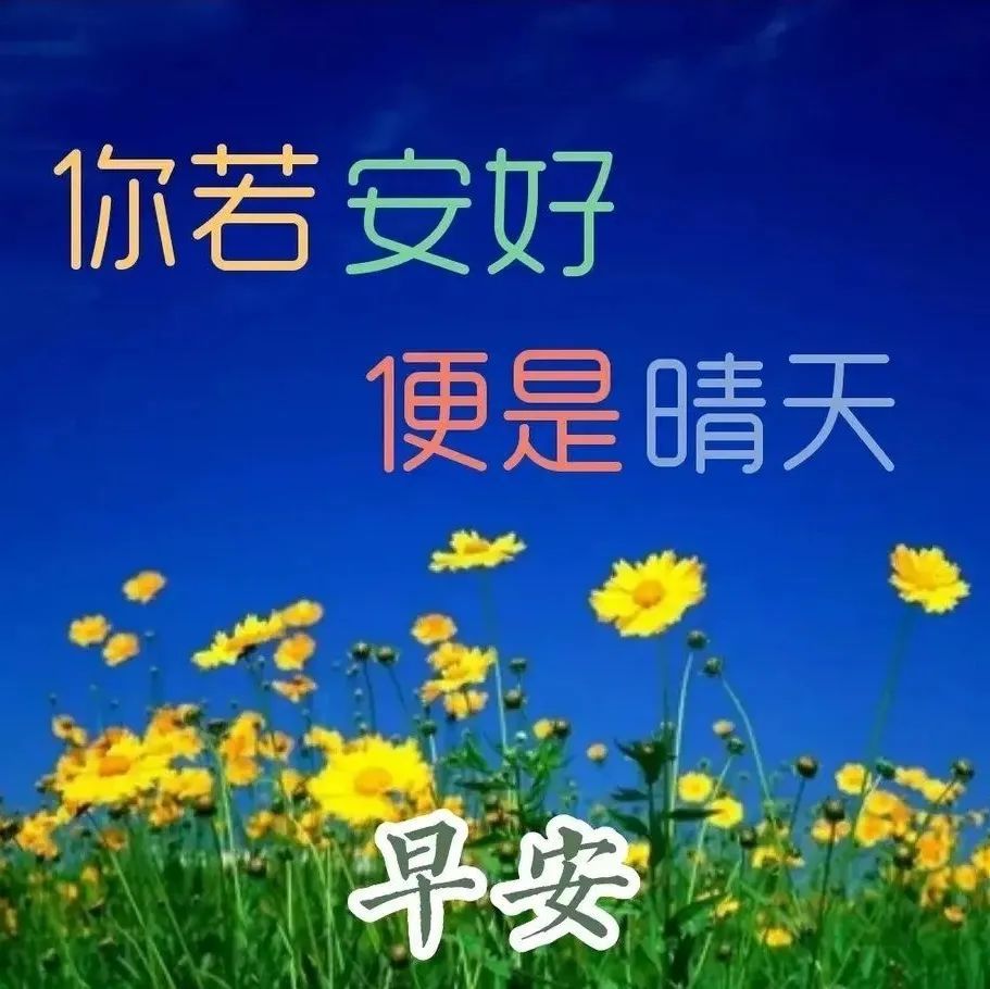 中老年表情包,你若安好,便是晴天!