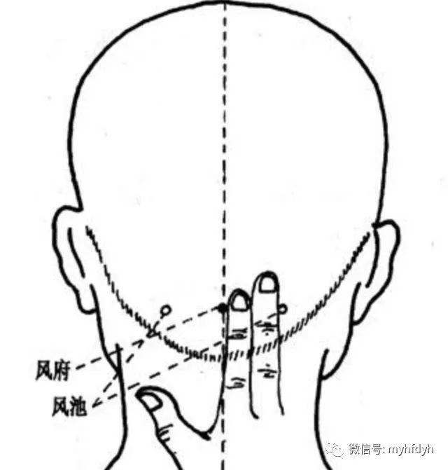 在颈后区,枕骨之下,胸锁乳突肌上端与斜方肌上端之间的凹陷处.