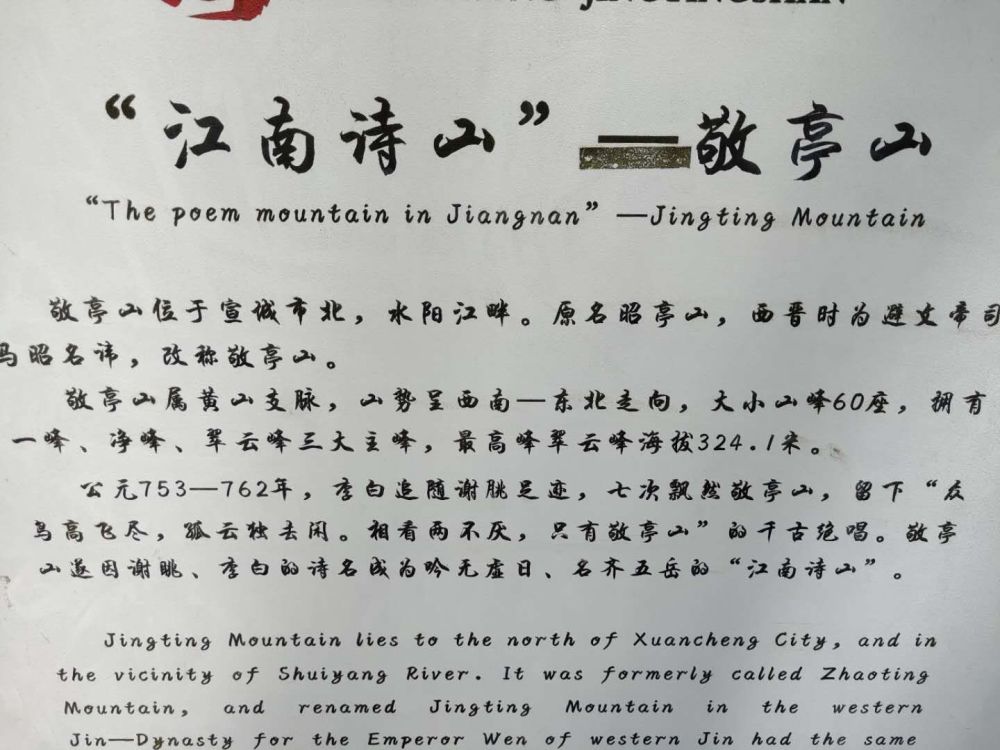 为情所困简谱_为情所困