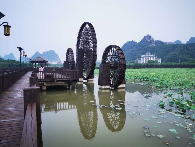 广西玉林旅游景点,五彩田园荷之源,周末带家人一起赏