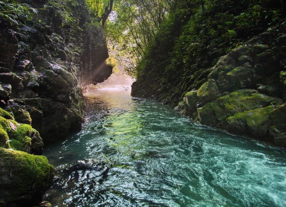 桃溪谷 图源:巴山大峡谷风景名胜区官网网站