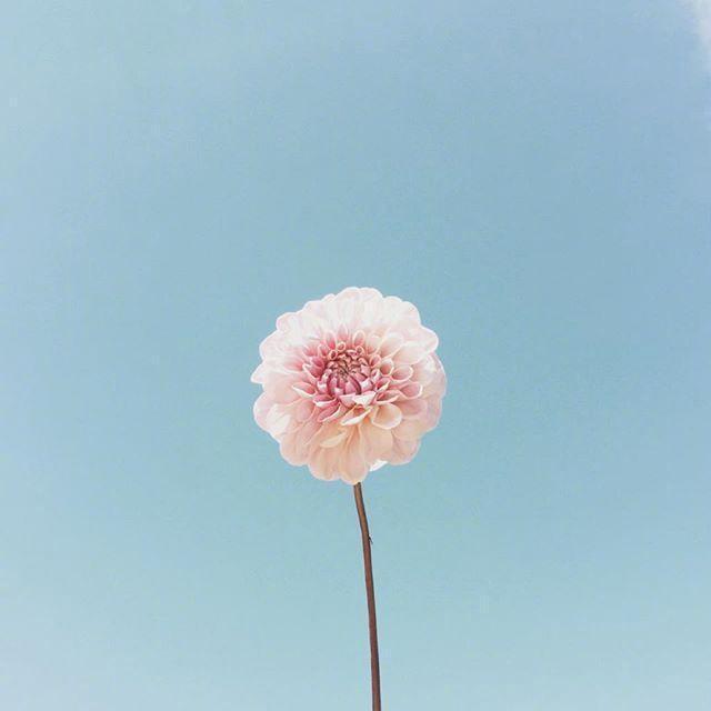 努力改变自己的句子,唯美阳光,句句正能量!