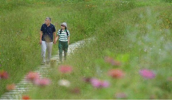 成都60后夫妻卖掉房子 租1200亩荒山建私家花