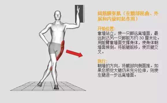 保持60秒,重复3次 (4)强化肌肉 你要知道如何激活髋外展和外旋肌,这很