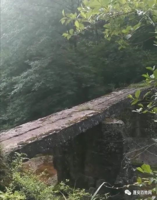 蓬安白云寨国家森林公园旅游景点——罗家高坑乾隆石拱桥,平桥!