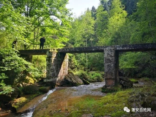 蓬安白云寨国家森林公园旅游景点——罗家高坑乾隆石拱桥,平桥!