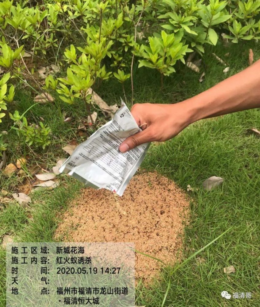 遇到这种小土堆赶紧躲开!